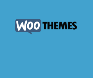 woothemes-website-style-guide